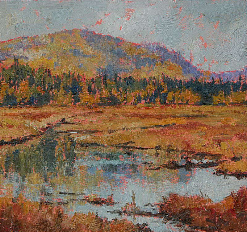 Algonquin Afternoon