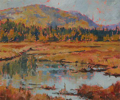 Algonquin Afternoon